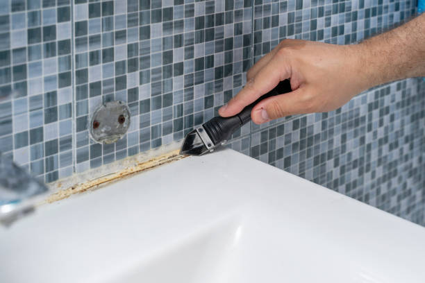 Best DIY Mold Remediation Support Services in Cedar Hills, OR